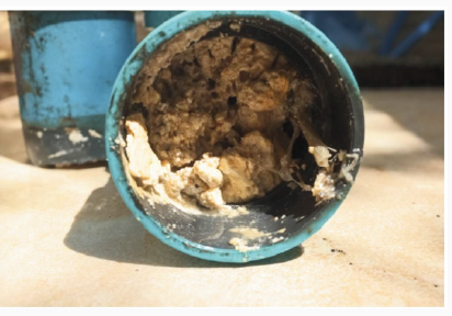 Grease build-up in drain pipe