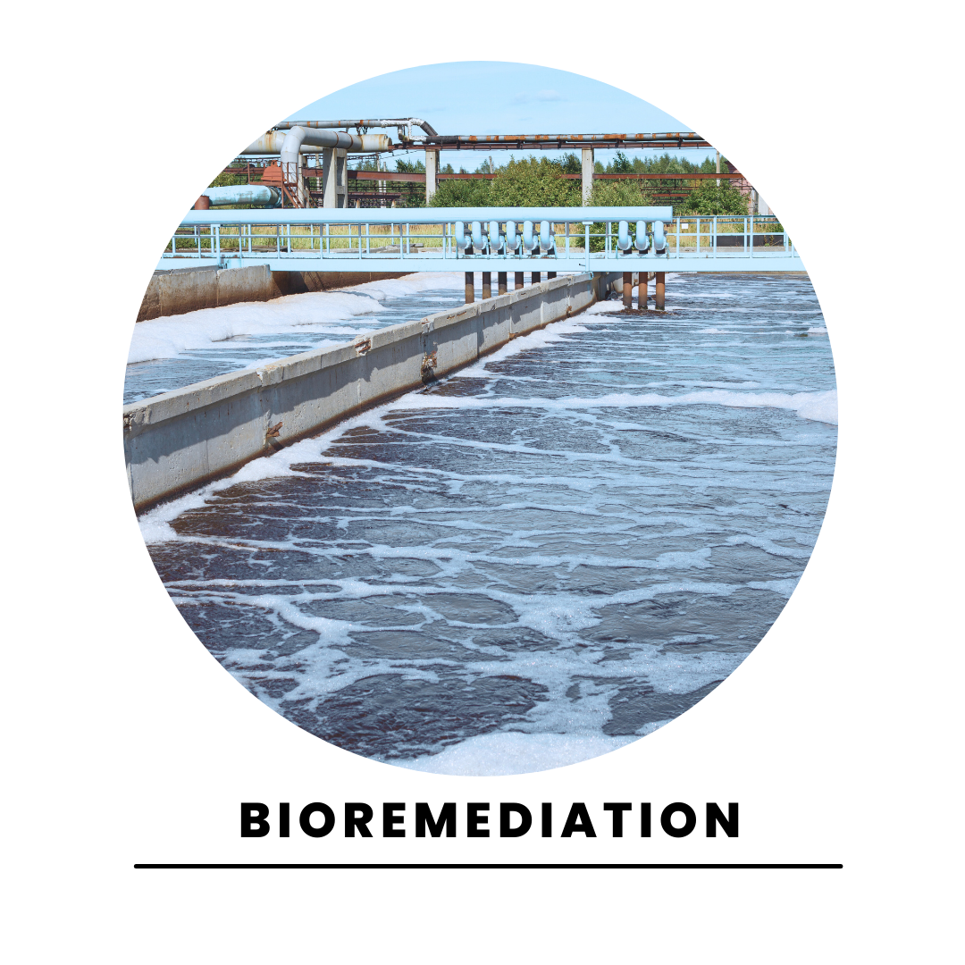 Industrial Water Treatment